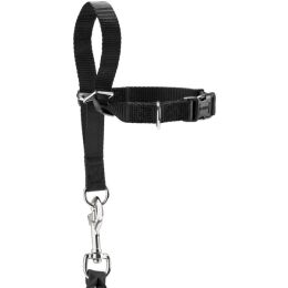 Hunter Ausbildungsgeschirr Follow Me M, 1,5 cm Breite