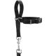Hunter Ausbildungsgeschirr Follow Me M, 1,5 cm Breite