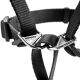 Hunter Ausbildungsgeschirr Follow Me M, 1,5 cm Breite