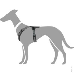 Hunter Geschirr Maldon Schwarz/Grau 47-69/S-M