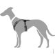 Hunter Geschirr Maldon Schwarz/Grau 47-69/S-M