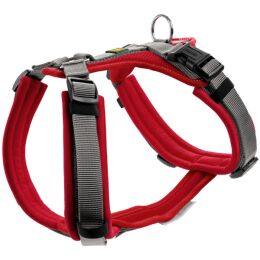 Hunter Geschirr Maldon Rot/Grau 34-49/XS