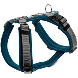 Hunter Geschirr Maldon Petrol/Grau 47-69/S-M