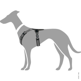 Hunter Geschirr Maldon Petrol/Grau 53-71/M
