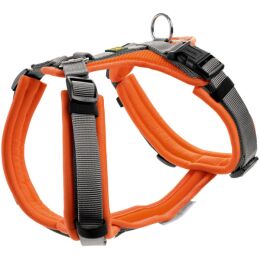 Hunter Geschirr Maldon Orange/Grau 34-49/XS