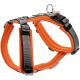 Hunter Geschirr Maldon Orange/Grau 34-49/XS