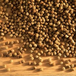 Hubertus Gold Premium-Trockenvollkost Junior 14kg