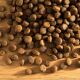 Hubertus Gold Premium-Trockenvollkost Jagd Performance 14kg