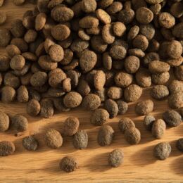 Hubertus Gold Premium-Trockenvollkost Sensitive 14kg