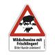 Warnschild "Schwarzwild mit Frischlingen" Groß