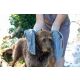 Siccaro Trockentuch EasyDry Dog Towel