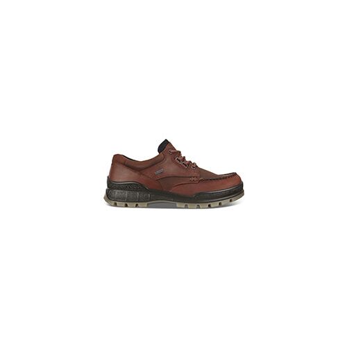 Ecco Herren Wanderschuh Track 25 Low GTX Braun