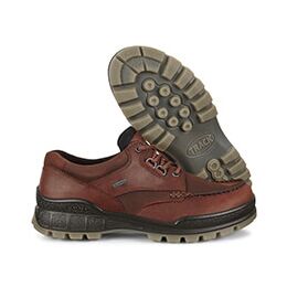 Ecco Herren Wanderschuh Track 25 Low GTX Braun