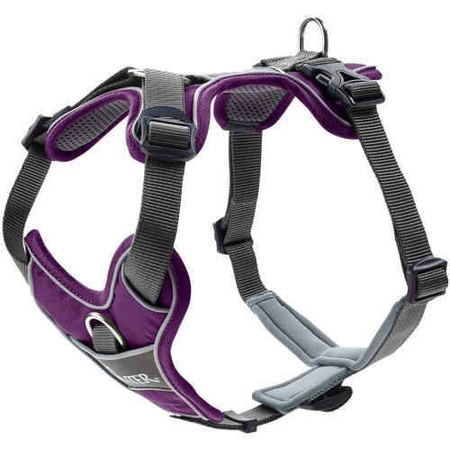Hunter Geschirr Divo Violett/Grau 56-73/M