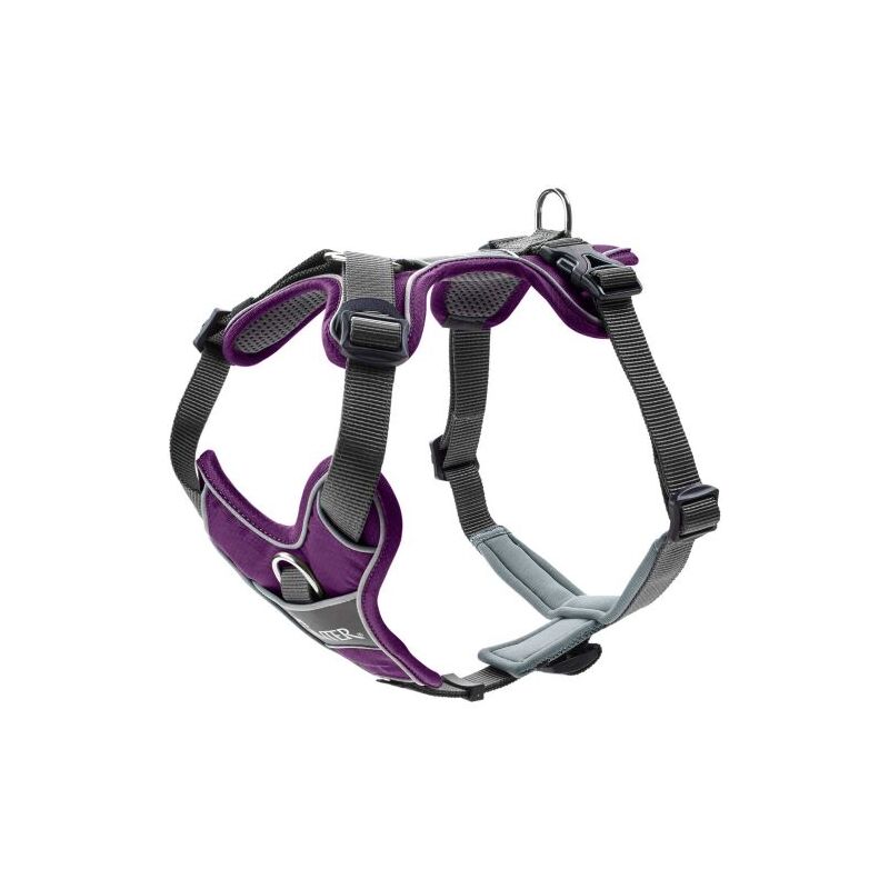 Hunter Geschirr Divo Violett/Grau 72-100/L