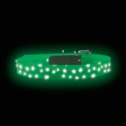 Hunter Halsband Convenience Reflect Glow Sterne 55 cm/M-L