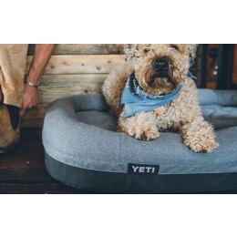 Yeti Hundebett Trailhead Grau