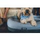 Yeti Hundebett Trailhead Grau