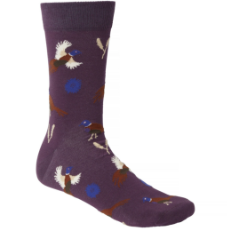 Chevalier Unisex Socken Pomeroy