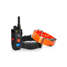 Dogtra ARC 802 Doppel Empfänger