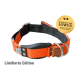 WowWow Hundehalsband mit integrierter Leine Orange