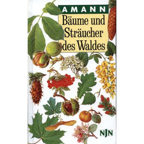 Bäume und Sträucher des Waldes von Gottfried Amann