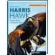 Harris Hawk - Faszination Wüstenbussard von Claas Niehues