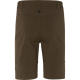Seeland Herren Rowan Stretch Shorts Pine green 54