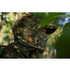 Seeland Scent Control Camo Gesichtsmaske