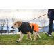 Non-stop Dogwear Hundemantel Glacier Dog Jacket 2.0 Schwarz/Orange