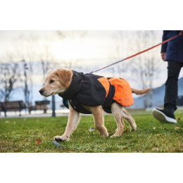 Non-stop Dogwear Hundemantel Glacier Dog Jacket 2.0 Schwarz/Orange 24
