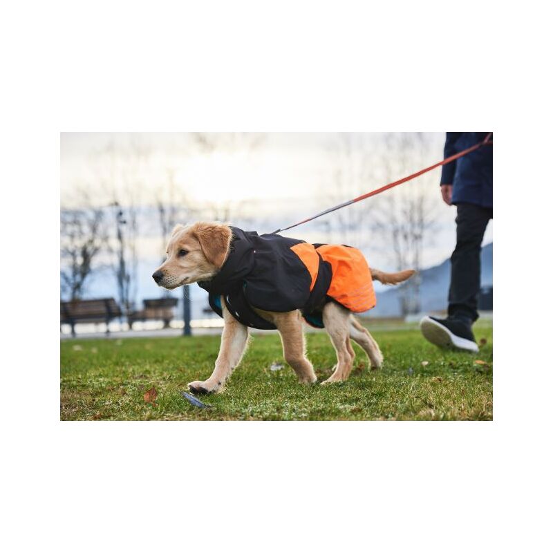 Non-stop Dogwear Hundemantel Glacier Dog Jacket 2.0 Schwarz/Orange 30