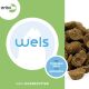 anbri gebackenes Hundetrockenfutter Frischer Wels mit Kartoffeln 12kg