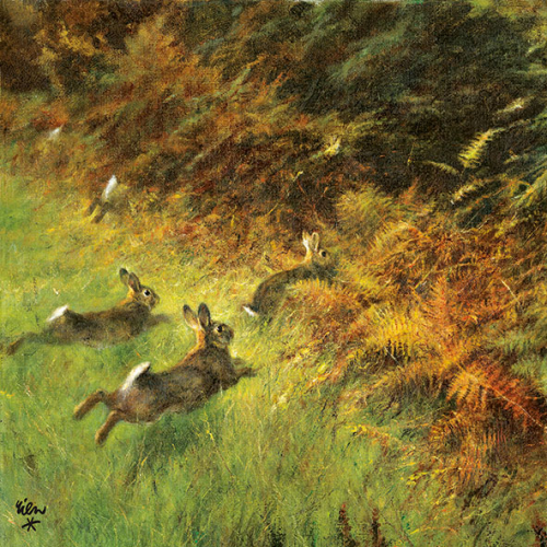 Running Rabbits