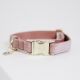 Kentucky Dogwear Hundehalsband Velvet