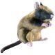 Ratte 34cm