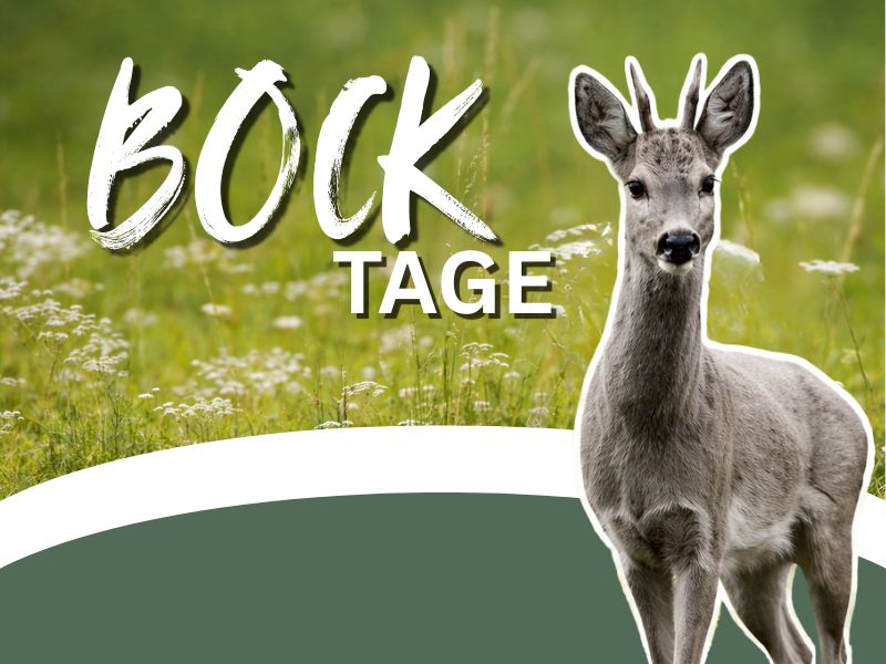 Bocktage 2026 – Service Days