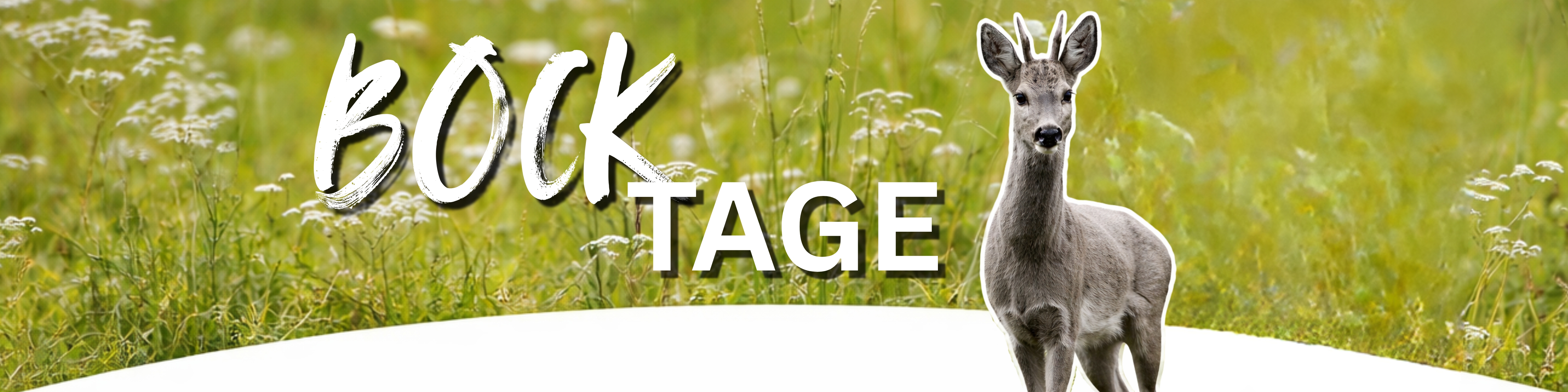 BockTage_HeaderLP.jpg