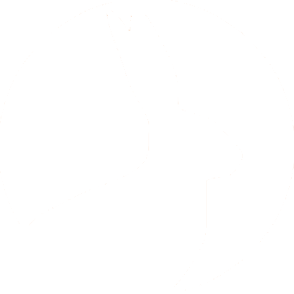 Managerkurs Icon