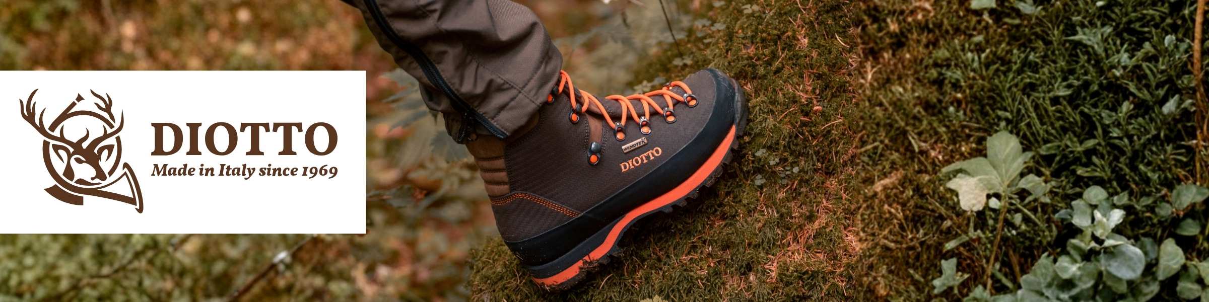 Header_Diotto.jpg