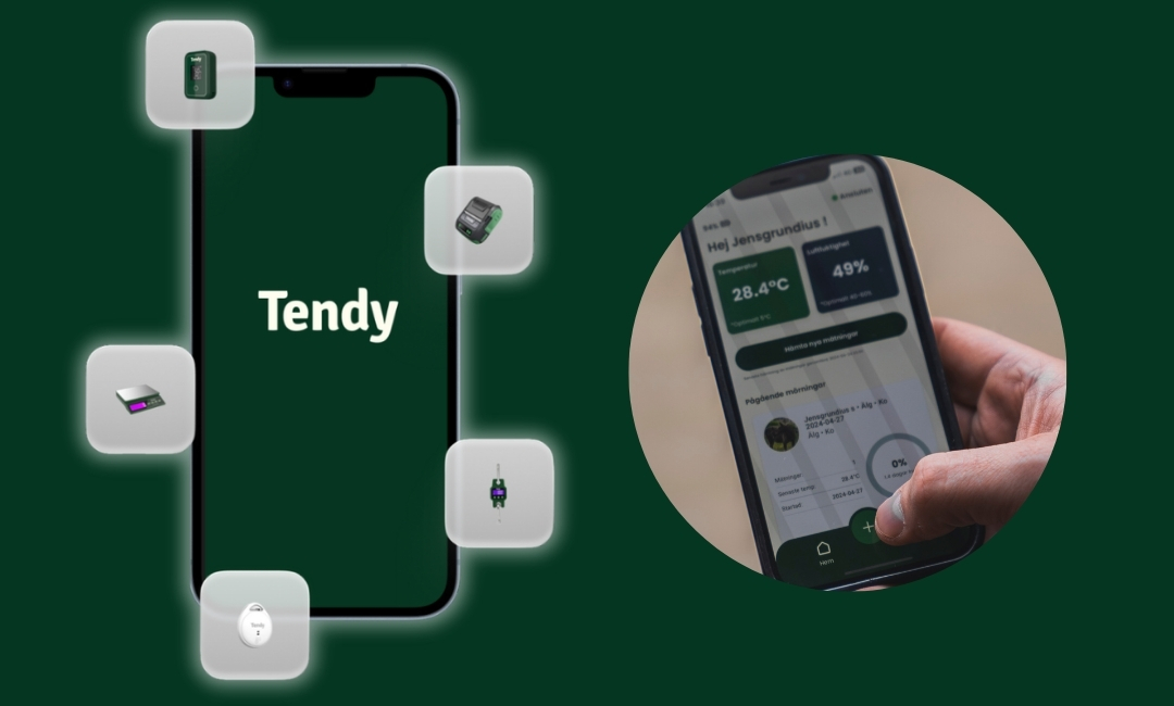 tendy-app-wildbretmanagement.jpg