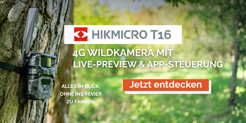 Hikmicro_T16_Wildkamera_3er_26.jpg