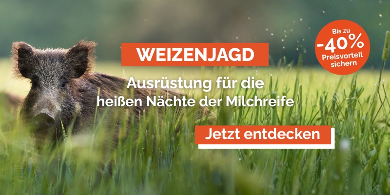 Weizenjagd_3er_1.jpg