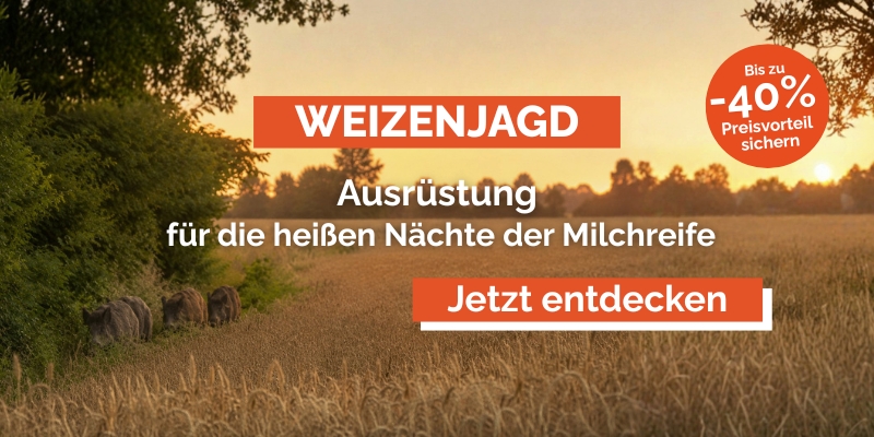 Weizenjagd_Schwarzwildjagd_in_der_Milchreife.jpg