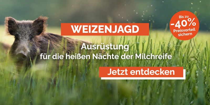 Weizenjagd_Schwarzwildjagd_in_der_Milchreife1.jpg