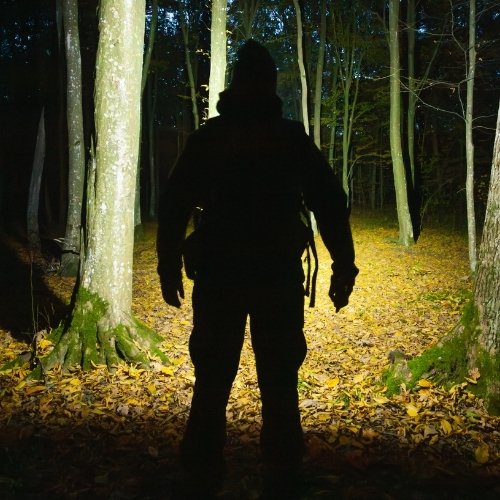 Jäger mit leistungsstarker Lampe bei Dunkelheit im Wald