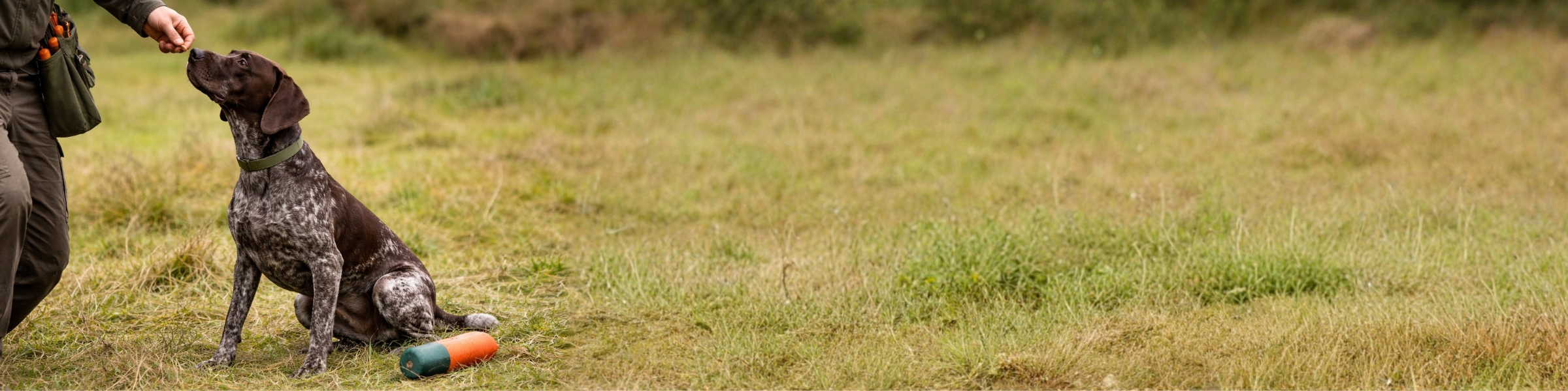 FARM-LAND_Hundesnacks_JagdhunderhltTrainingssnackimDummytraining.jpg