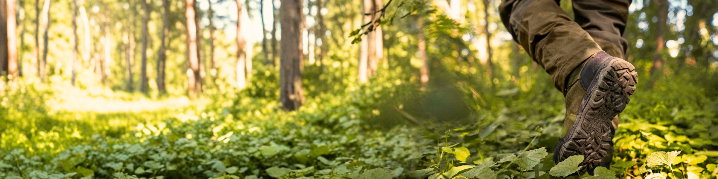 Header_Sommerliche_Jagdtage_Sommer_Jagdschuhe.jpg