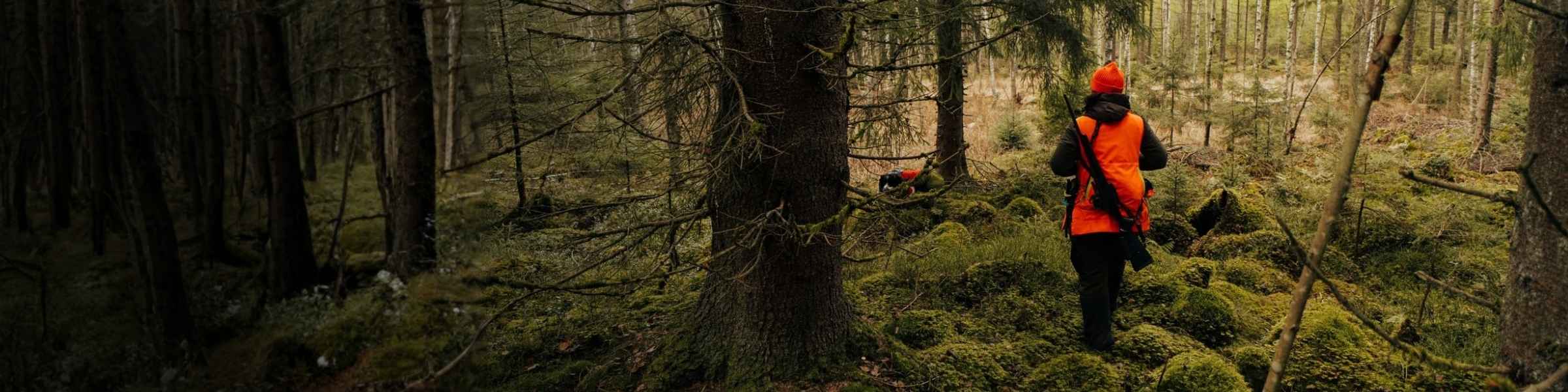 Jäger in signaloranger Bekleidung unterwegs im Wald