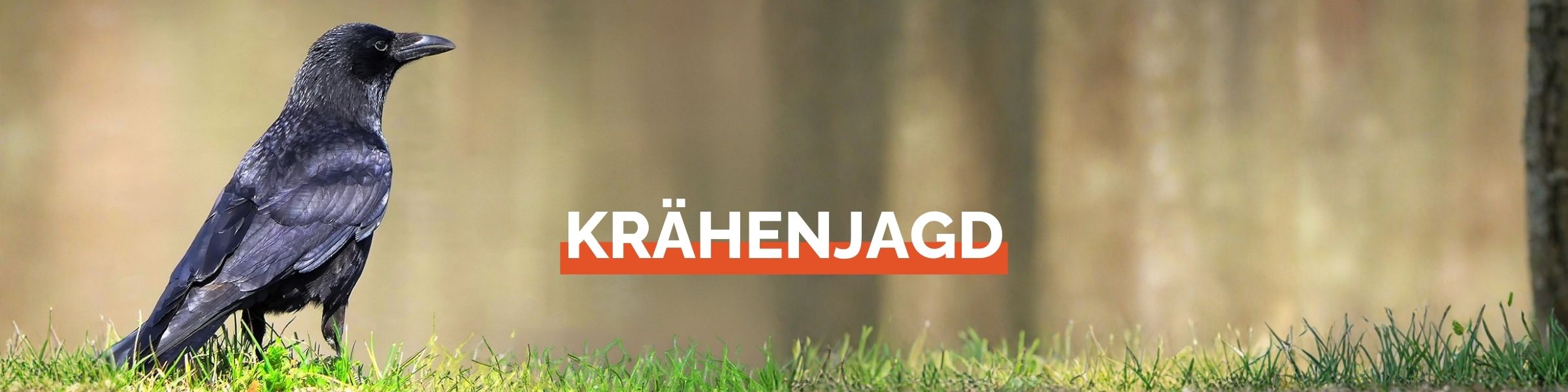 Header_Kraehenjagd.jpg